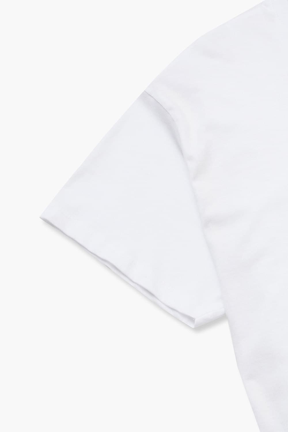 코튼 PARIS 일러스트 로고 516 화이트 반소매 티셔츠